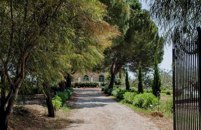 Fontes Episcopi - Photo 61