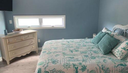 Donovan's Out of the Blue - Foto 5