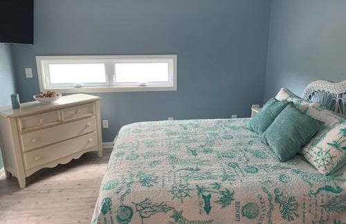 Donovan's Out of the Blue - Foto 5