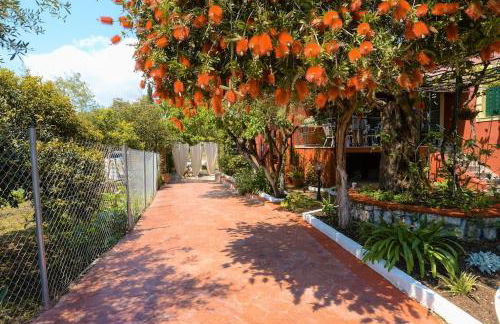 The Red House in Dassia - Foto 29