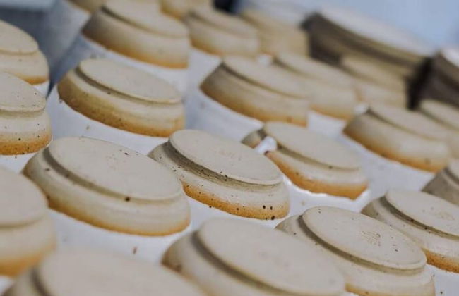 Host Apartments The Pilgrim Coach House II - Foto 60