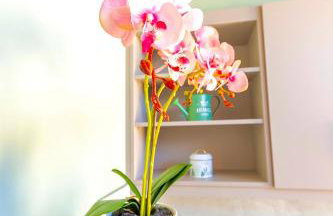 House of Nileides - Foto 16