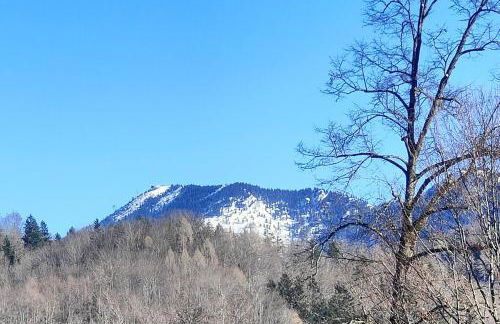 Haus Margreiter - Foto 37