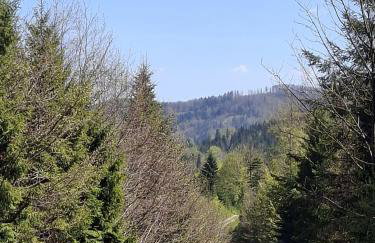 Górska Otulina - Foto 40