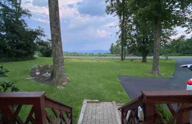 Blue Mountain Getaway Hot tub, Winery, Game Room - Foto 8