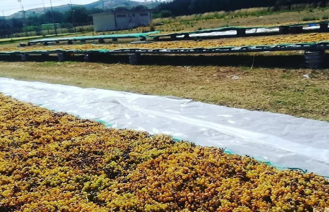 Agriturismo Nereide Ceratti - Foto 16