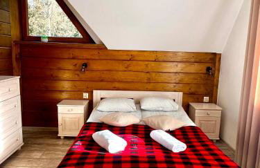 Domki przy Potoku - Foto 108