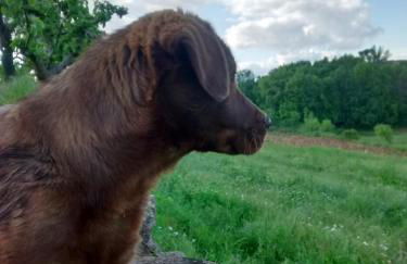 Casarao dos Reis - Foto 12