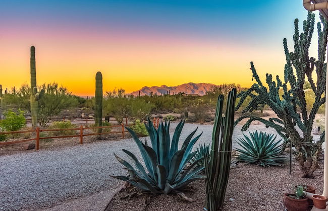 La Puerta Azul- Stunning Desert Retreat; Pool/Spa - Foto 48