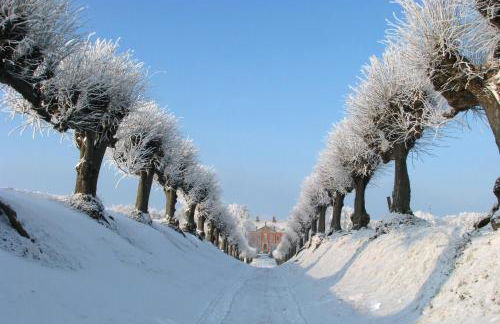 Villa DUXCAAR - Foto 42