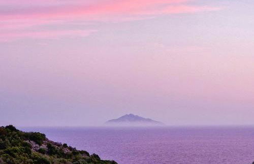 Sea View House Among Holm Oaks On Elba - Photo 36