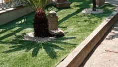 Wild Paradise - Foto 5, Garden