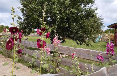 Pod Dziką Jabłonią - Foto 20