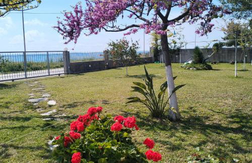 Sun N Sand - Foto 40