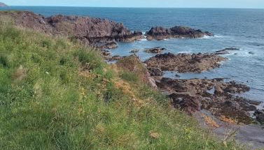 Comfy caravan in Eyemouth - Foto 5