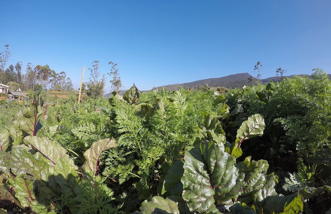 Shannon Rise Holiday Home - Foto 21