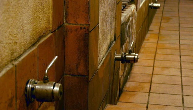 Conociendo las instalaciones de las bodegas Alfredo Santamaría