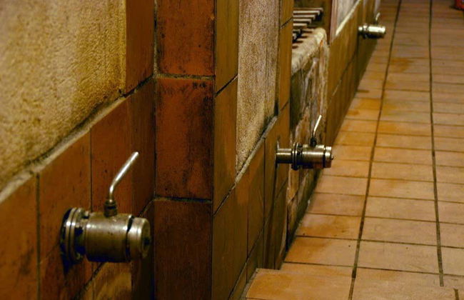 Visita a las bodegas Alfredo Santamaría - Foto 3