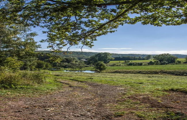 Apartment With Views of the Ore Mountains - Foto 37