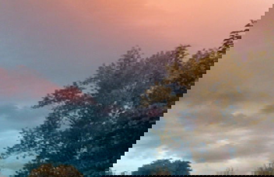 Agriturismo Renzano Garden Apartments - Foto 38