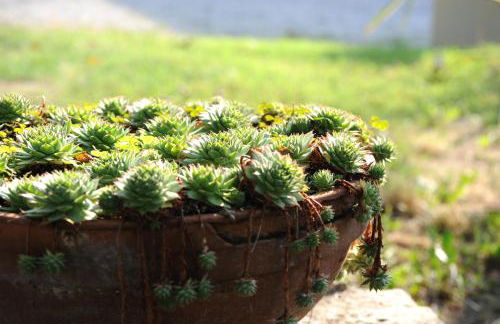 Corte Pioppazza - Foto 40