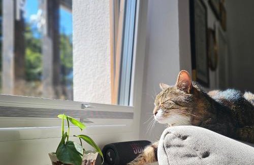 Forest House Podwilczyn with sauna & fireplace - Foto 24