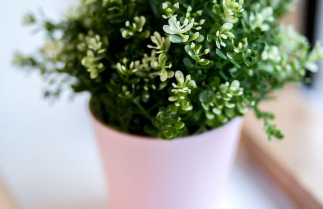 Mica Point City Centre Apartment - Foto 39