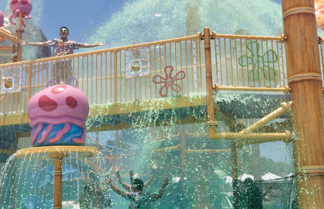 Billet pour l'Aqua Nick Riviera Maya - Photo 6