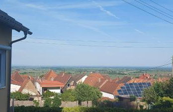 Traumblick Südpfalz - Foto 1