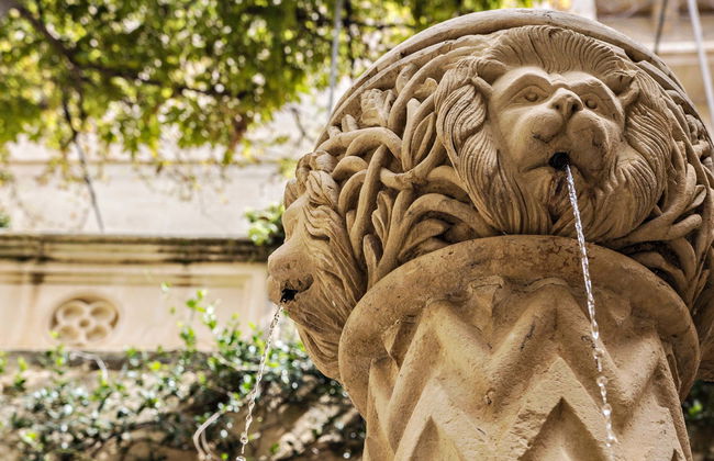 Ingresso do Palácio Falson - Foto 4