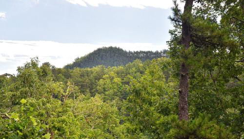 Stunning Mountain Cabin with Hot Tub and Game Room Near Asheville in Old Fort, NC - Foto 4