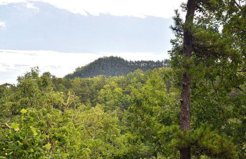 Stunning Mountain Cabin with Hot Tub and Game Room Near Asheville in Old Fort, NC - Foto 4