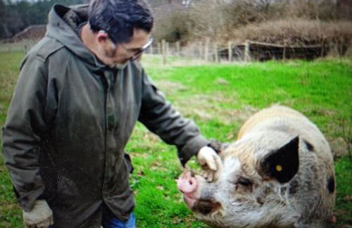 Cabane avec jacuzzi privatif et accès à ferme pédagogique - FR-1-410-459 - Photo 11
