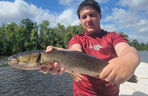 FREE BOAT to use ,Fish Camp, Water Front, Pets ok - Foto 71