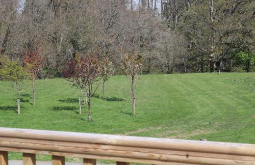 HEDDFAN, Luxury 3 bedroom timber lodge, Now with WiFi, Caer Beris Holiday Park, Builth Wells, SORRY NO TRADESMEN OR CONTRACTORS ALLOWED - Foto 42