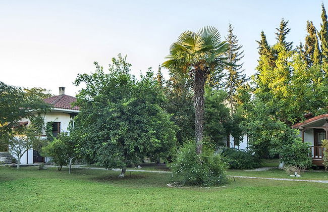 Akdeniz Bahcesi - Foto 28