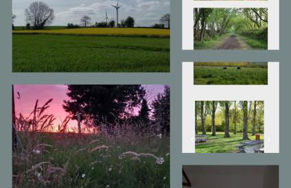 La ferme des aristochats - Foto 17