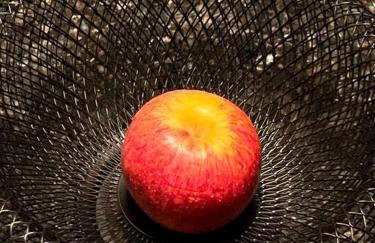 Esse apto eh tão lindo e espaçoso, perto de tudo! - Foto 30