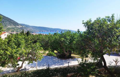 M&D appartments - Photo 24