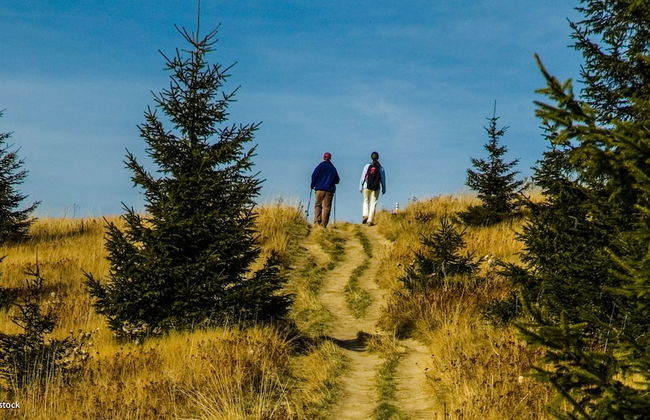 Mucha Apartments - Photo 10