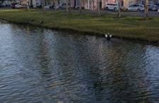 True Happiness, Housing Near Disney Word - Foto 73