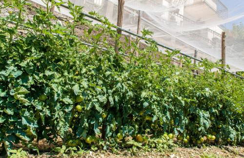 Villarena Relais - Foto 47