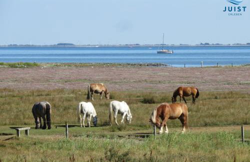 Haus Billstrasse 231 - Wohnung 1 - Foto 22