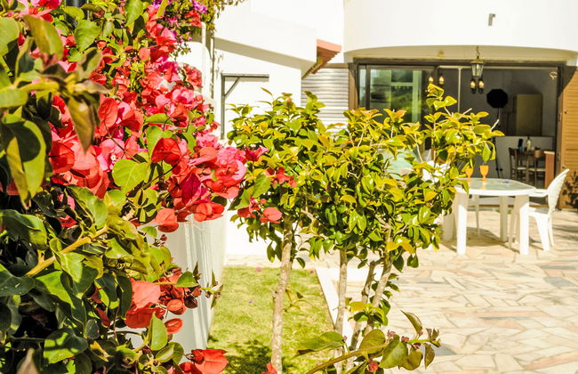 Studio Loureiro - Foto 8