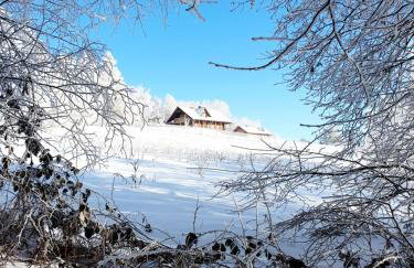 Dom na Kamieńcu - Photo 54