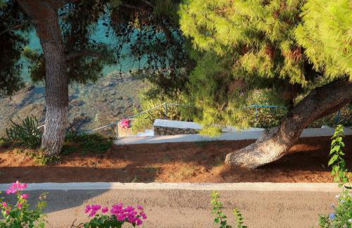 Grand Bleu Apartments & Villas - Photo 14