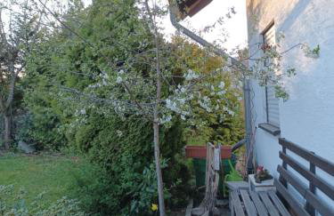 Erholsame Westerwälder Ferienwohnung Seni - Foto 2