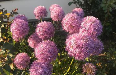 Ferienwohnung Zweinig02 - Foto 22