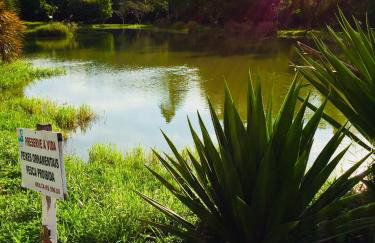 Florescer Vila - Foto 18