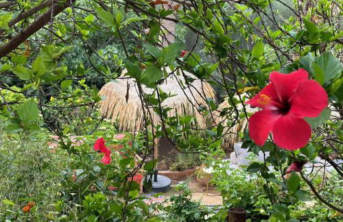 Authentic Luxury Villa in Oasis with Pool close to Malaga - Foto 30